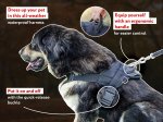Tibetan Mastiff Nylon Tracking/ Pulling Dog Harness