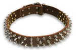 Mastiff Spiked Brown collar 22'' /22 inch dog collar - S44