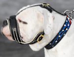 Fashionable leather muzzle for Argentinian Mastiff
