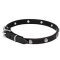 Mastiff Leather Dog Collar with Chrome Plated Round Studs
