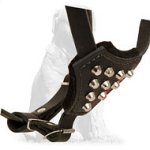 Mastiff Studded Dog Harness for Active Puppies