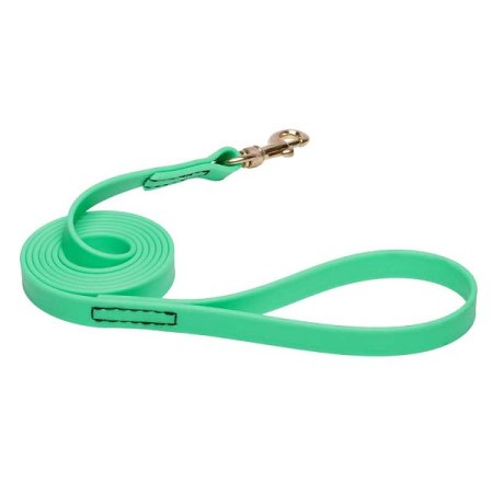 Green Waterproof Mastiff Leash Made of Biothane