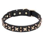 Mastiff Wide Leather Dog Collar 1 1/4 inch (30 mm) with Old Bronze Plated Stars and Pyramids