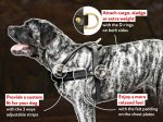 Pyrenean Mastiff Tracking/Pulling Leather Dog Harness