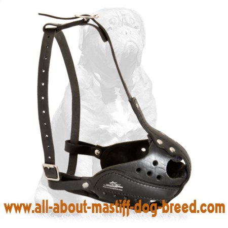 Professional guarding police muzzle