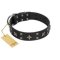 "Star Excitement" Modern FDT Artisan Black Leather Mastiff Collar with Studs and Stars