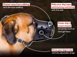 Anti-Barking Leather Bullmastiff Muzzle | Rustproof Hardware