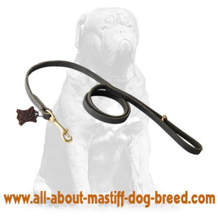 Handcrafted Leather Dog Lead for Walking