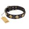 "Fancy-Schmancy" FDT Artisan Adorned Leather Mastiff Collar