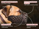 Training Leather Cane Corso Mastiff Muzzle | Nose Padding