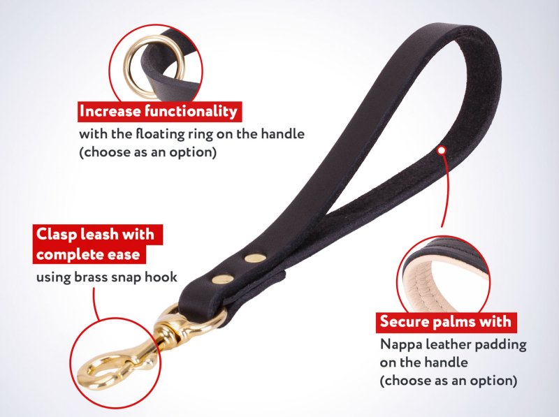 Comfy short Mastiff leash made of leather