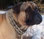 Mastiff Curogan Dog Pinch Prong Collar 1/6 inch (3.99 mm)