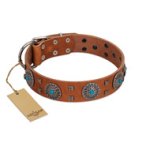 "Blue Sands" FDT Artisan Tan Leather Mastiff Collar with Silver-like Studs and Round Conchos with Stones