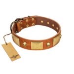 "Mutt The Daredevil" FDT Artisan Tan Leather Mastiff Collar with Old Bronze-like Skulls and Plates