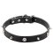 Mastiff Pirate Style Leather Collar with Nickel Plated Spikes and Skulls 1 inch (25 mm) wide