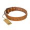 'Autumn Story' FDT Artisan Tan Leather Mastiff Collar with Old Bronze Look Studs - 1 1/2 inch (40 mm) wide
