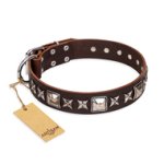'Perfect Impression' FDT Artisan Brown Leather Mastiff Collar with Silvery Square Studs - 1 1/2 inch (40 mm) Wide