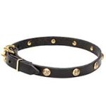 Mastiff Leather Dog Collar with Brass Round Studs with Engraving