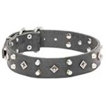Mastiff Leather Dog Collar with Decorative Pyramids