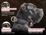 Wide Braided Leather Cane Corso Mastiff Collar