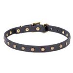Mastiff Starred Leather Dog Collar