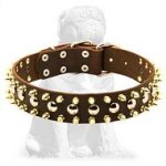 Three Rows brass Leather Spiked and Studded Mastiff collar