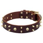 Mastiff Rock Style Brown Leather Dog Collar with Brass Spikes and Skulls