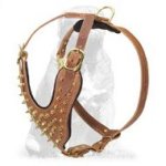 Brass Spiked Fashion Leather Harness for Mastiff Breed Dog Walking