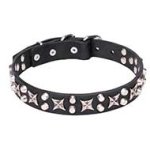 Mastiff Leather Dog Collar with Chrome Plated Hardware