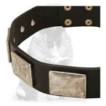 Handcrafted leather Mastiff collar with vintage plates