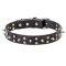 Mastiff Star Decorated Leather Dog Collar