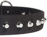 1 Row Studs Dog Collar-1 1/4" for Mastiff 1 Row Studs Dog Collar-1 1/4" for Mastiff