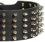Rich Spiked Leather Dog Collar for Mastiff