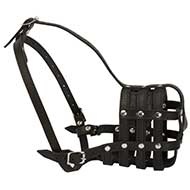 Lightweight muzzle for American Bandogge Mastiff