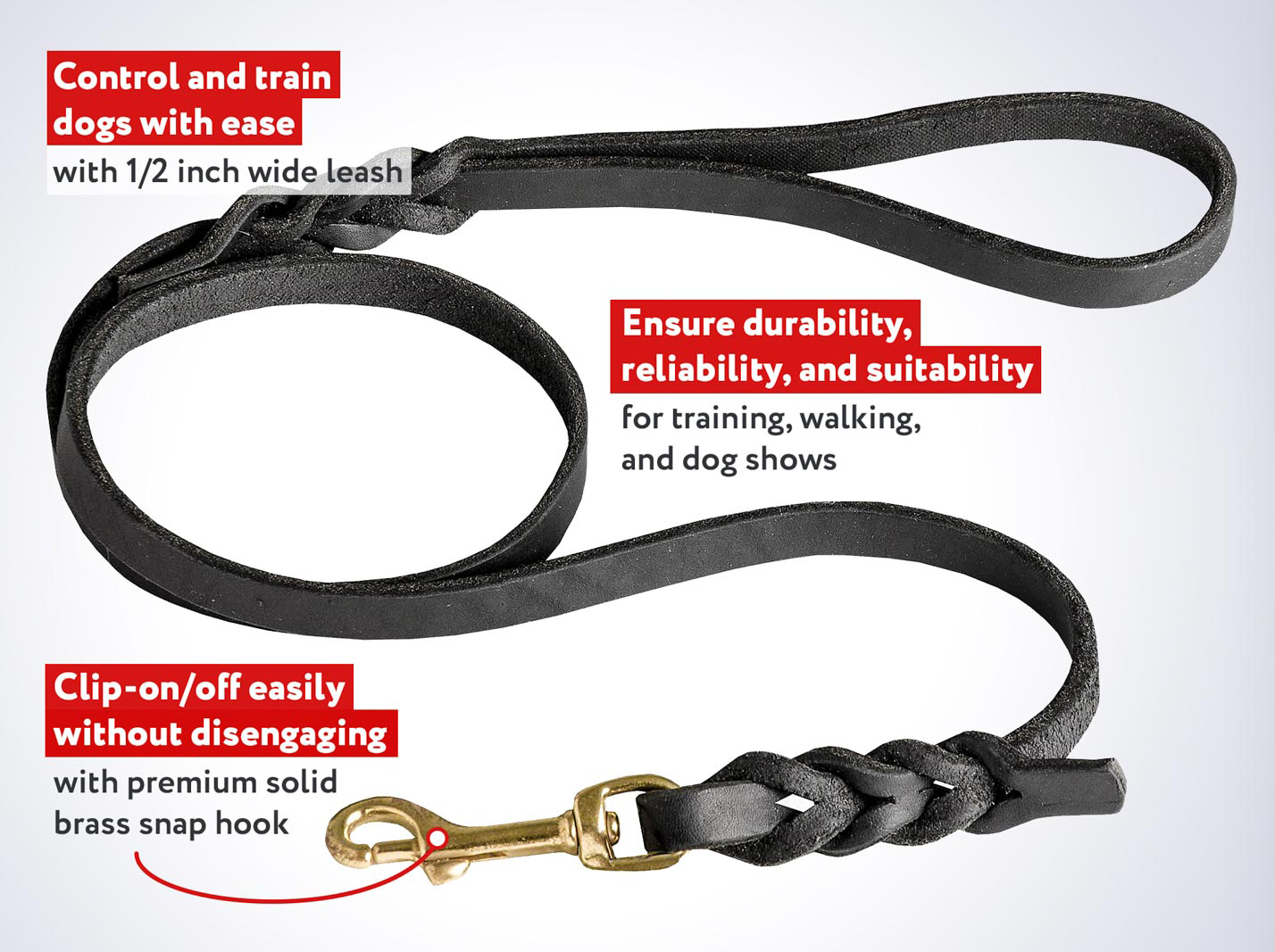 braided leather dog leash