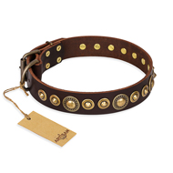 'Ancient Warrior' Mastiff Brown Leather Dog Collar