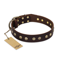 'Bronze Sheen' FDT Artisan Mastiff Brown Leather Dog Collar with Old Bronze-Like Plated Studs - 1 1/2 inch (40 mm) wide