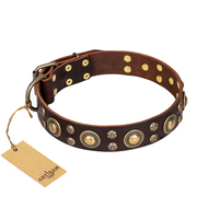 'Flower Melody' FDT Artisan Brown Leather Dog Collar with Mixed Studs for Mastiff Daily Walking
