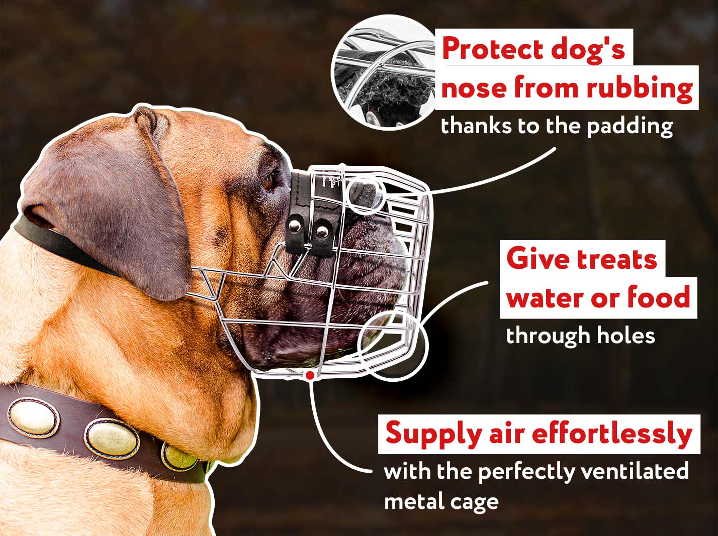 Bullmastiff Basket Muzzle for Everyday Use Mastiff harness, Mastiff muzzle, Mastiff collar