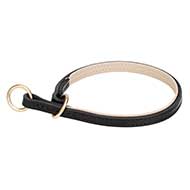 Mastiff Leather Choke Collar with Inside Support Material