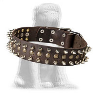 Excellent Spiked and Studded Mastiff Leather Collar