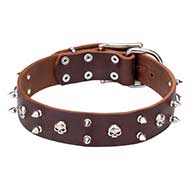 Cool Mastiff Leather Dog Collar with Nickel Plated Spikes and Skulls