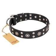 'Refined Essence' FDT Artisan Black Leather Mastiff Dog Collar with Silvery Studs - 1 1/2 inch (40 mm) Wide