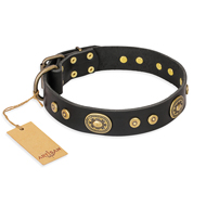 'Golden Radiance' FDT Artisan Black Leather Mastiff Collar with Old Bronze Look Ovals and Circles