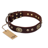 'Breath of Elegance' FDT Artisan Decorated with Plates Brown Leather Mastiff Collar