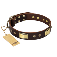 FDT Artisan 'Rich Fashion' Decorated Brown Leather Mastiff Collar with Plates and Studs - 1 1/2 inch (40 mm) wide
