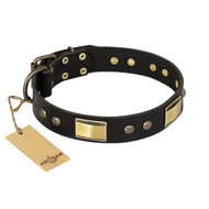 FDT Artisan 'Black Sun' Leather Mastiff Collar with Brass Plated Decorations - 1 1/2 inch (40mm) wide