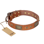 'Catchy Look' FDT Artisan Decorated Tan Leather Mastiff Collar