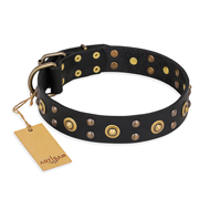 'Cosmic Glow' FDT Artisan Black Leather Mastiff Collar with Brass-Plated Studs - 1 1/2 inch (40 mm) wide
