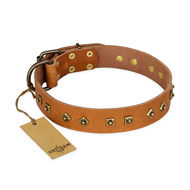 'Autumn Story' FDT Artisan Tan Leather Mastiff Collar with Old Bronze Look Studs - 1 1/2 inch (40 mm) wide 'Autumn Story' FDT Artisan Tan Leather Mastiff Collar with Old Bronze Look Studs - 1 1/2 inch (40 mm) wide